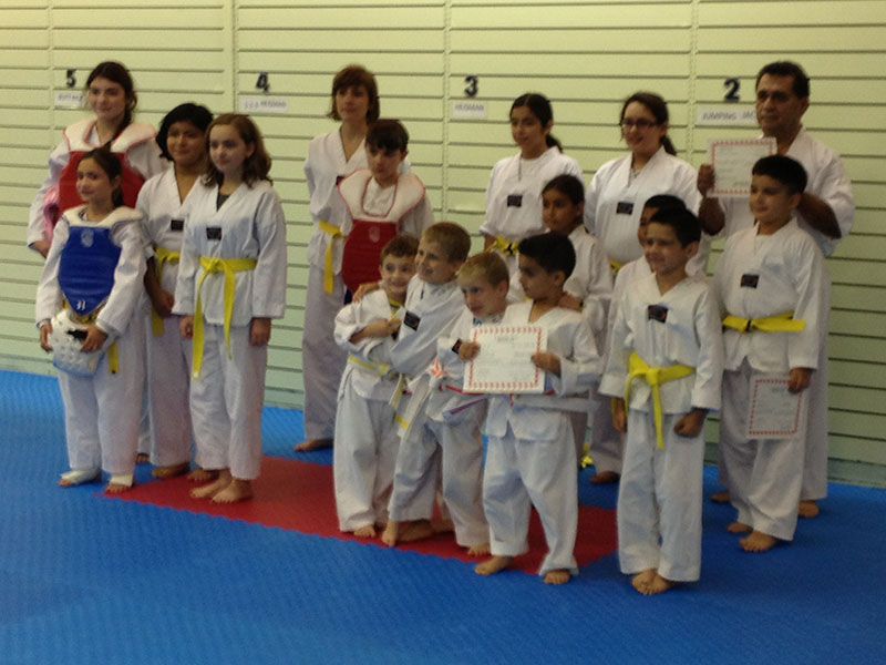 Dojo Picture